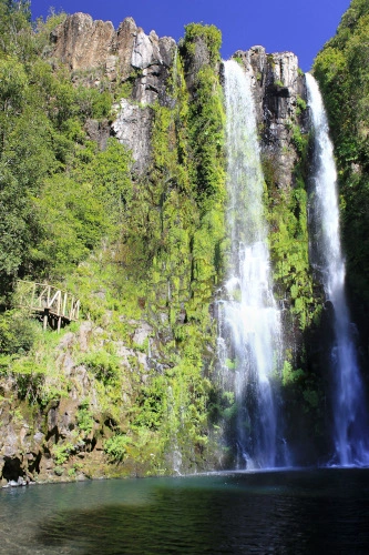 Salto la placeta