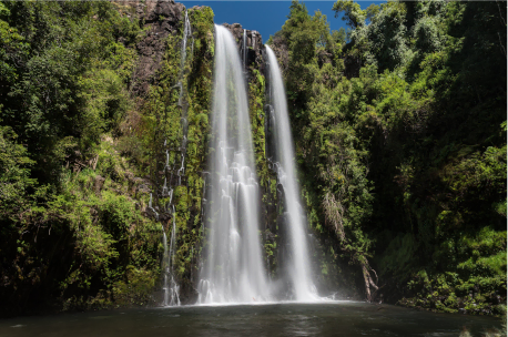 Salto la placeta