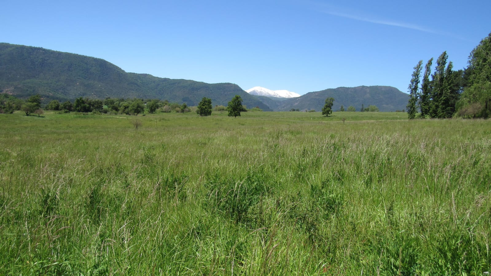 San Rafael