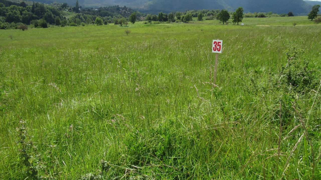 terrenos en venta san clemente